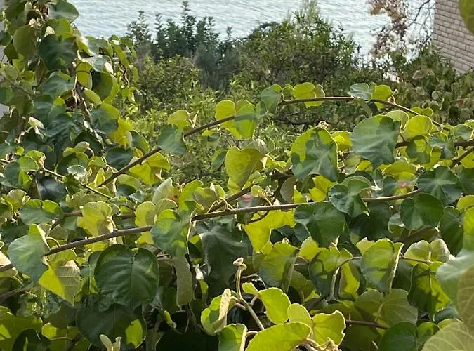 Mateo Апартаменты *